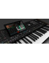 KORG PA5X OR-61