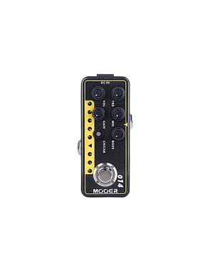 MOOER 014 TAXIDEA TARSUS...