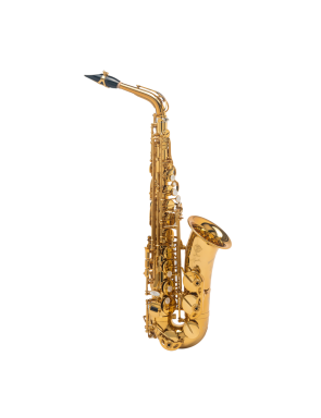 Saxo Alto Selmer Signature Dorado Goldmessing Grabado (DGG)