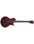 SCHECTER SOLO-II APOCALYPSE RR