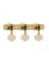 Clavijero Clásica Gotoh 35G1800-1R-SB
