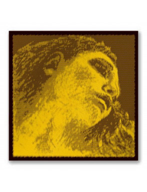 Cuerda 2ª Pirastro Cello Evah Pirazzi Gold 335220