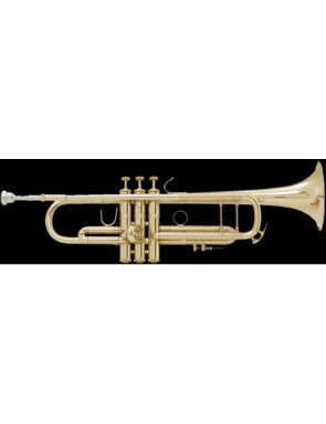 Trompeta Bach Stradivarius LR-180/43 Goldmessing
