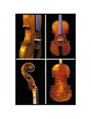 Cello Jay Haide Stradivari Antique 3/4
