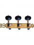 Clavijero Luthier Clásica JC102G-AS Oro Lira Palomilla Negra
